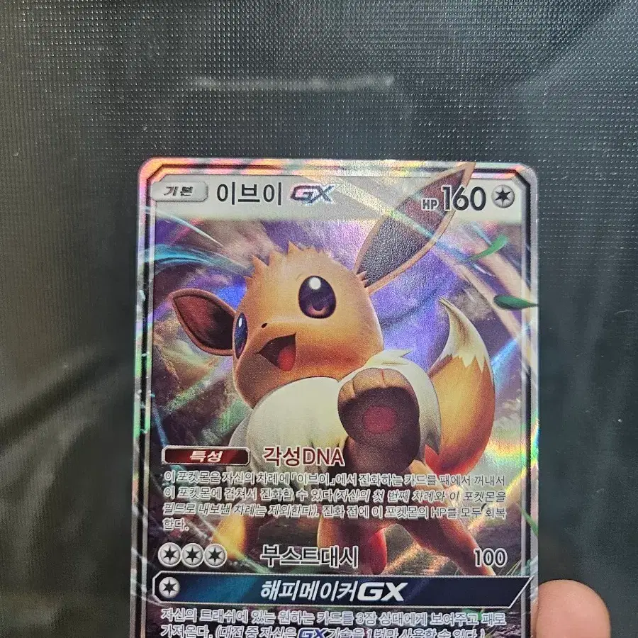 이브이 GX 카드