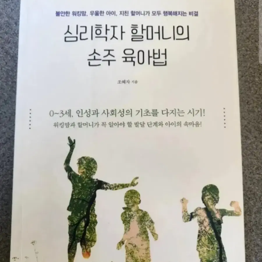 책 심리학자 할머니의 손주 육아법