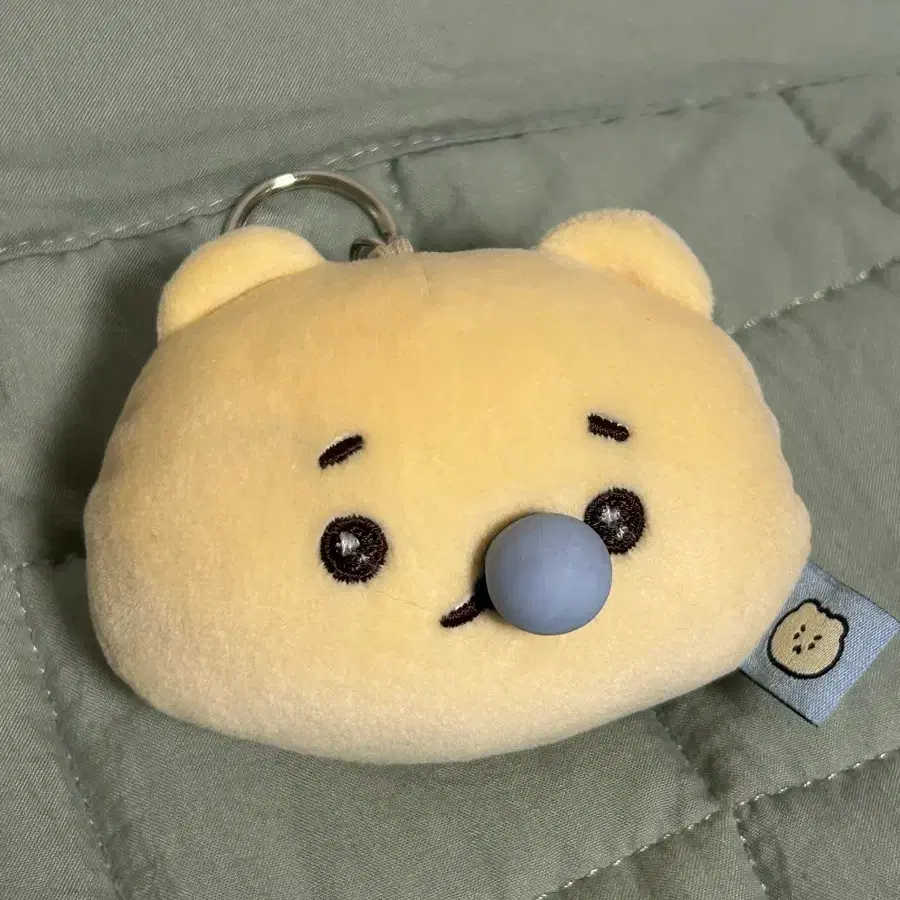망그러진곰 콧물망곰이
