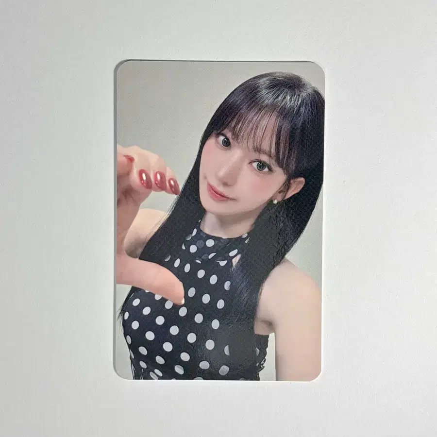 르세라핌 사쿠라 vr 콘서트 포카홀더 포토카드 양도