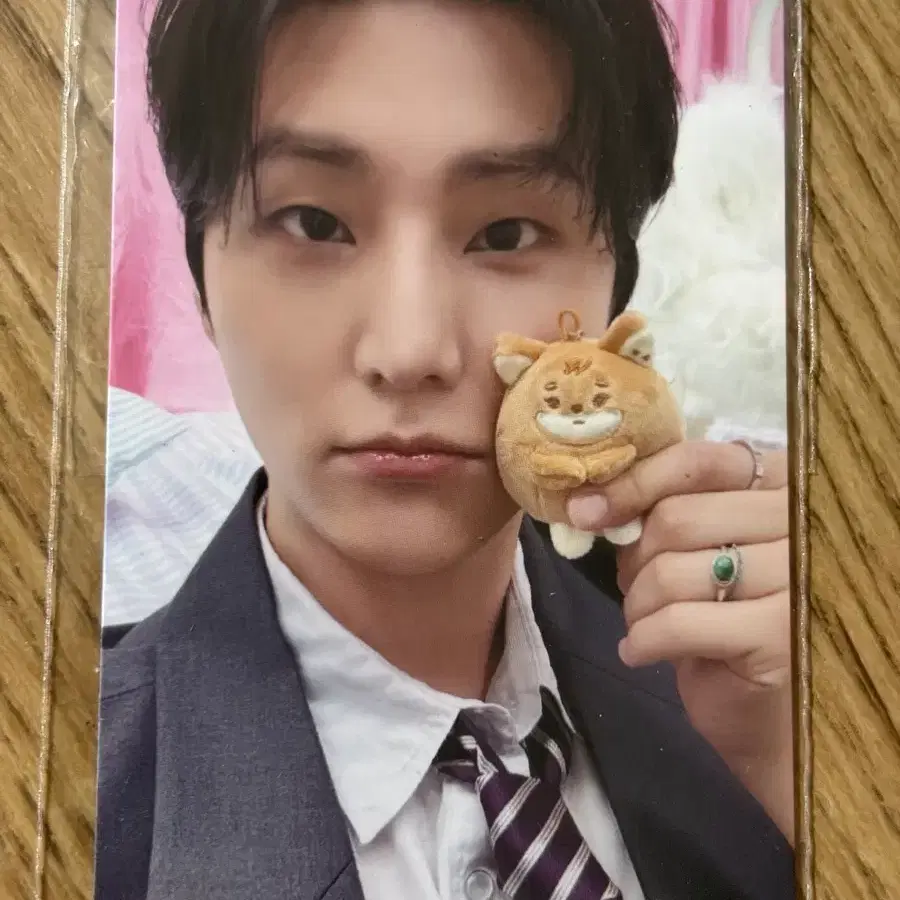 데이식스 영케이 포카