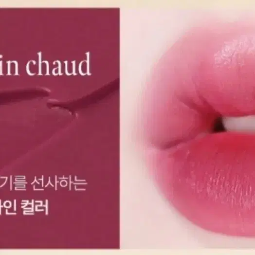 토니모리 윈터뱅쇼