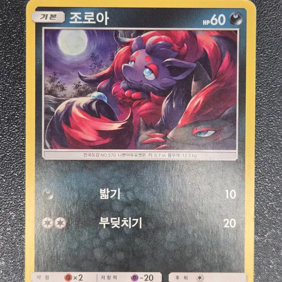 포켓몬카드 조로아 SM3+ 053/072 C 앨범용_1