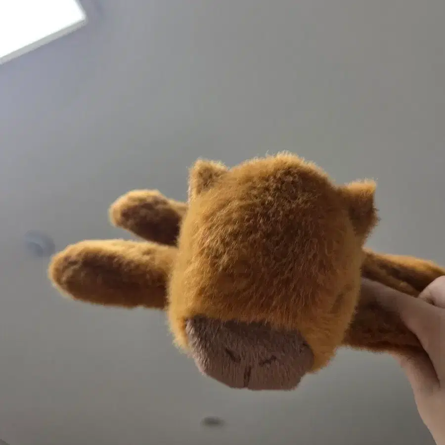 카피바라 팔찌 인형