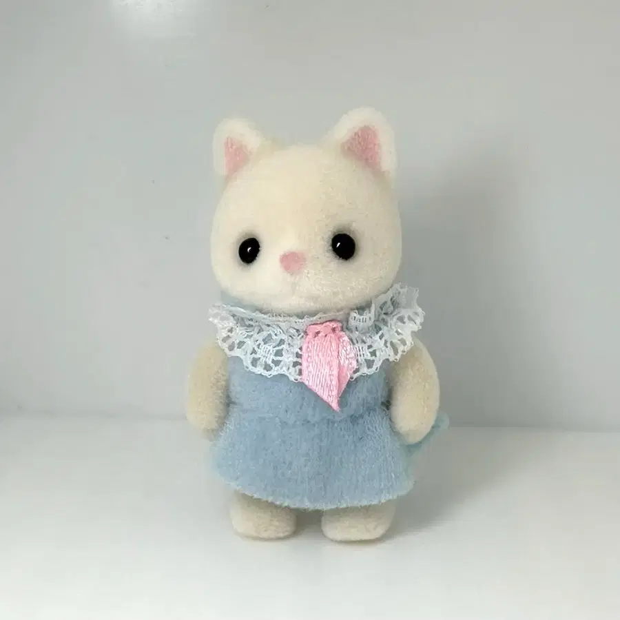 실바니안 헤어샬롱 고양이
