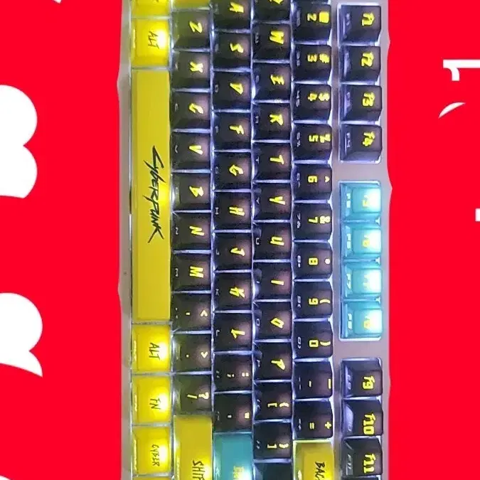 추천인