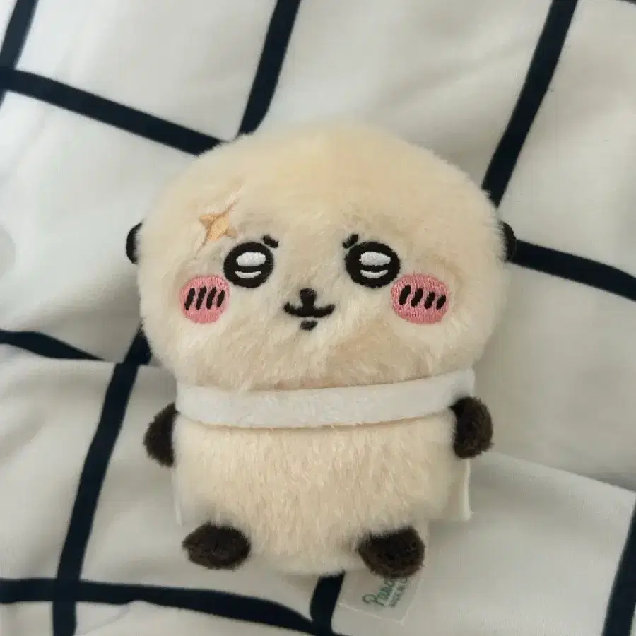 치이카와 랏코 앉은 누이