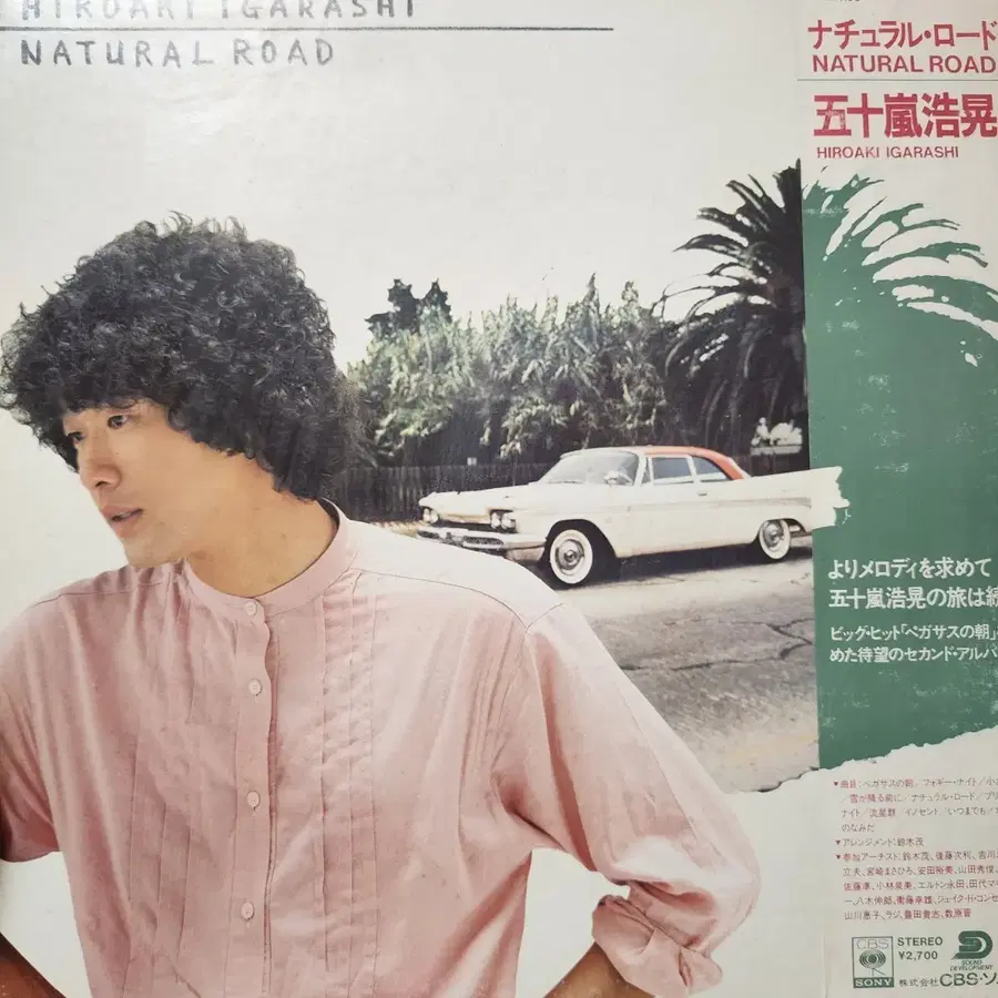 이가라시 히로아키 Hiroaki Igarashi NATURAL ROAD LP