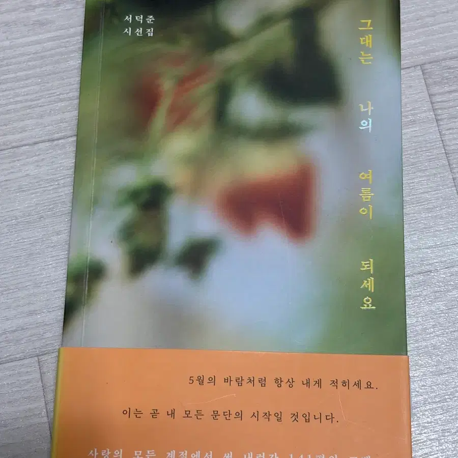그대는 나의 여름이 되세요