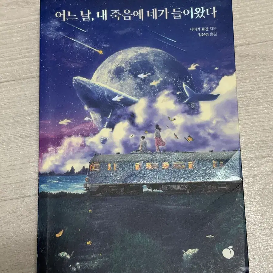 어느 날, 내 죽음에 네가 들어왔다