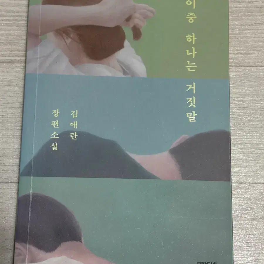 이중 하나는 거짓말 (김애란)