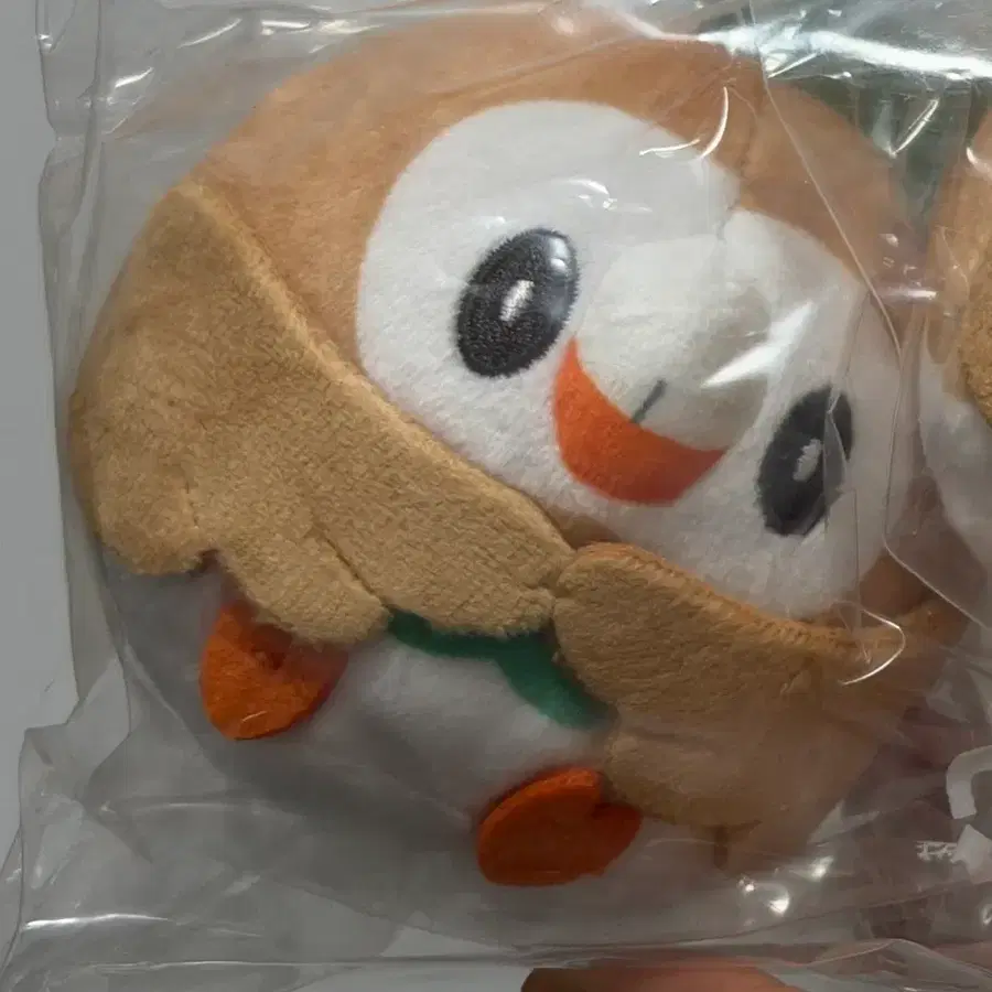 포켓몬 나몰빼미 촛코리상 춋코리상 인형