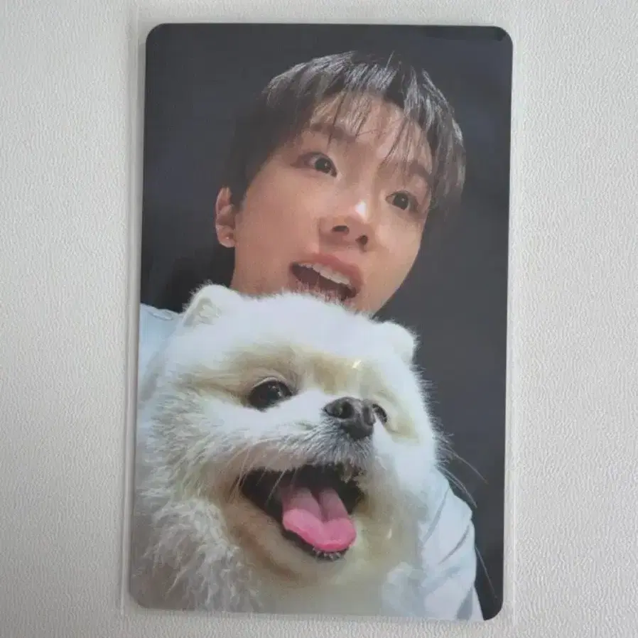 보이넥스트도어 보넥도 운학 포카 홈 위버스 특전 짱이