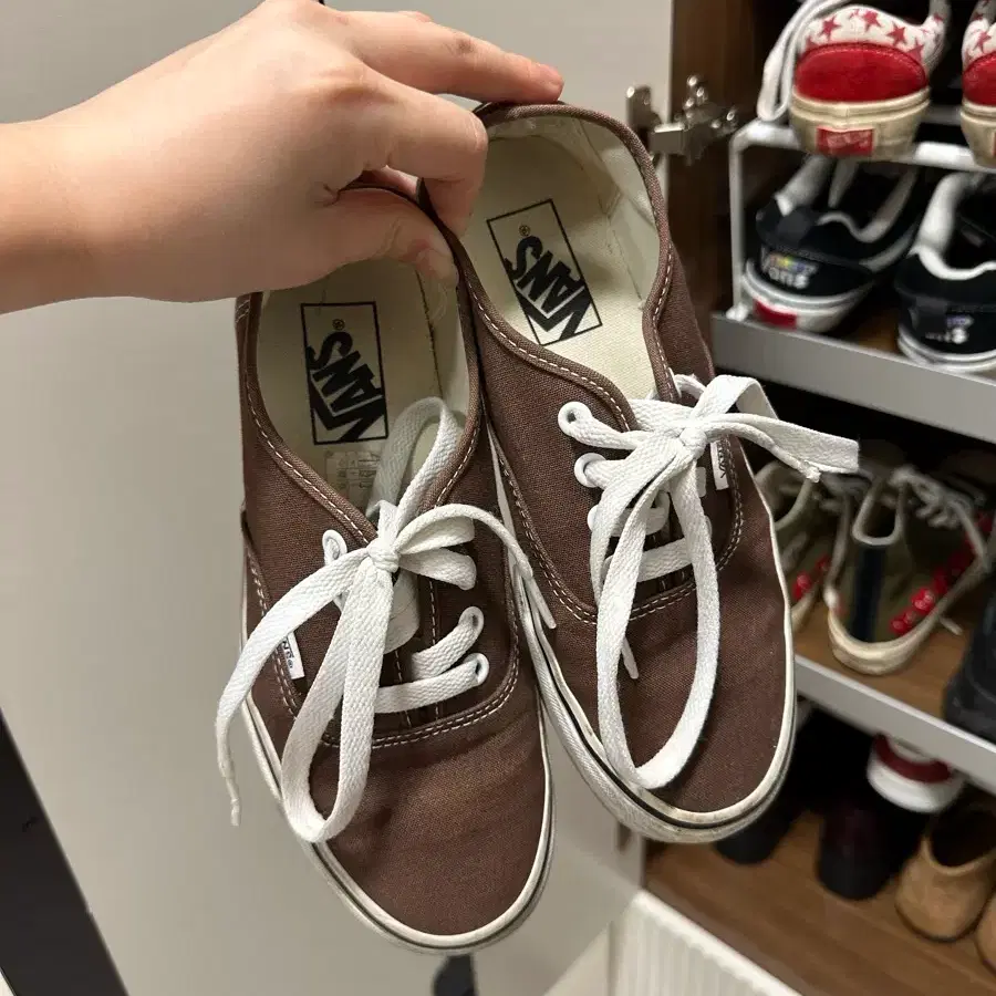 반스 어센틱 브라운