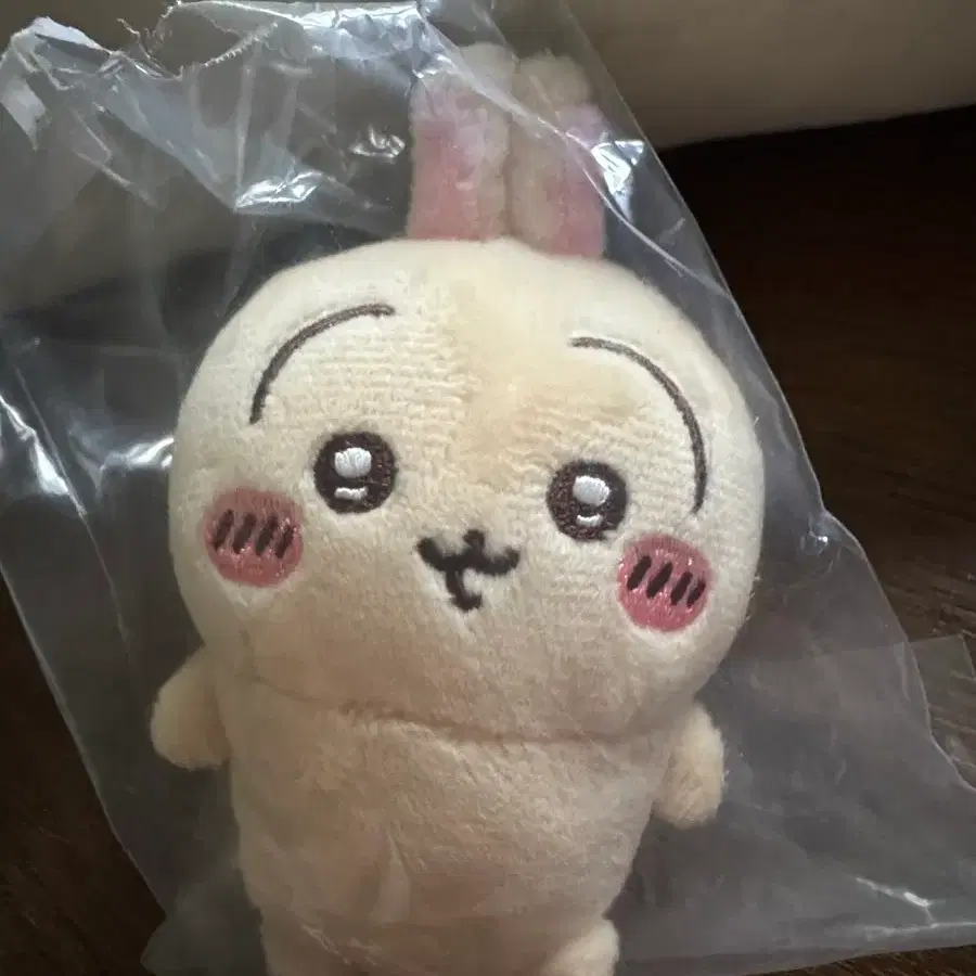 우사기 앉은 누이