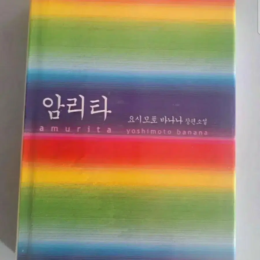 소설책 암리타