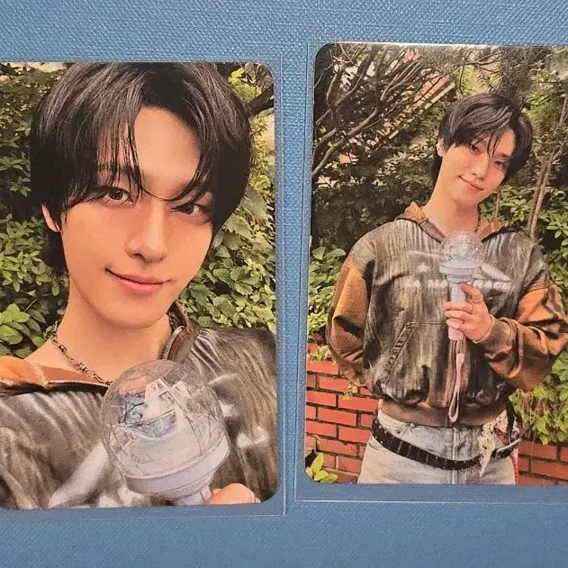 세븐틴 디노 피철인 캐럿존 1set