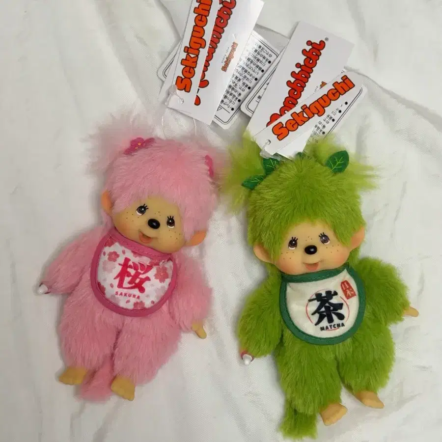세키구치 몽키치 사쿠라 / 말차 세트