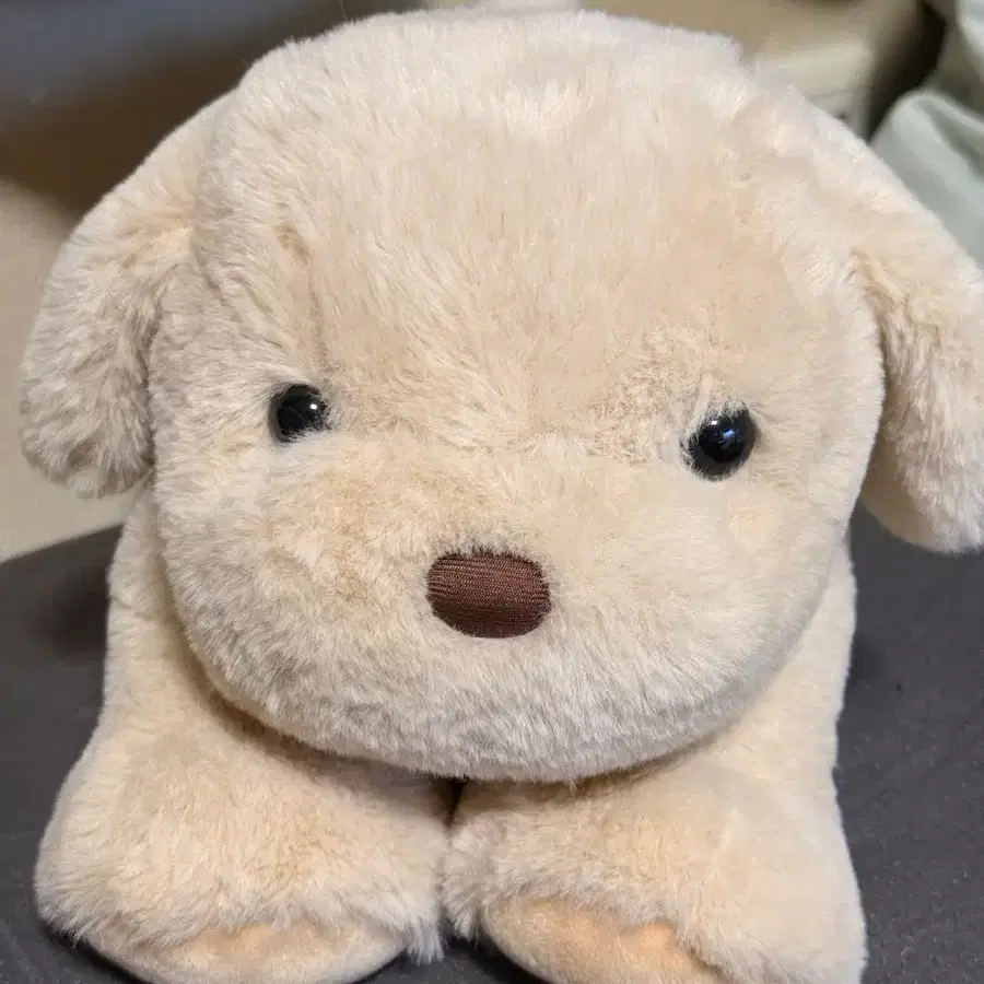 뭉뭉이 강아지인형