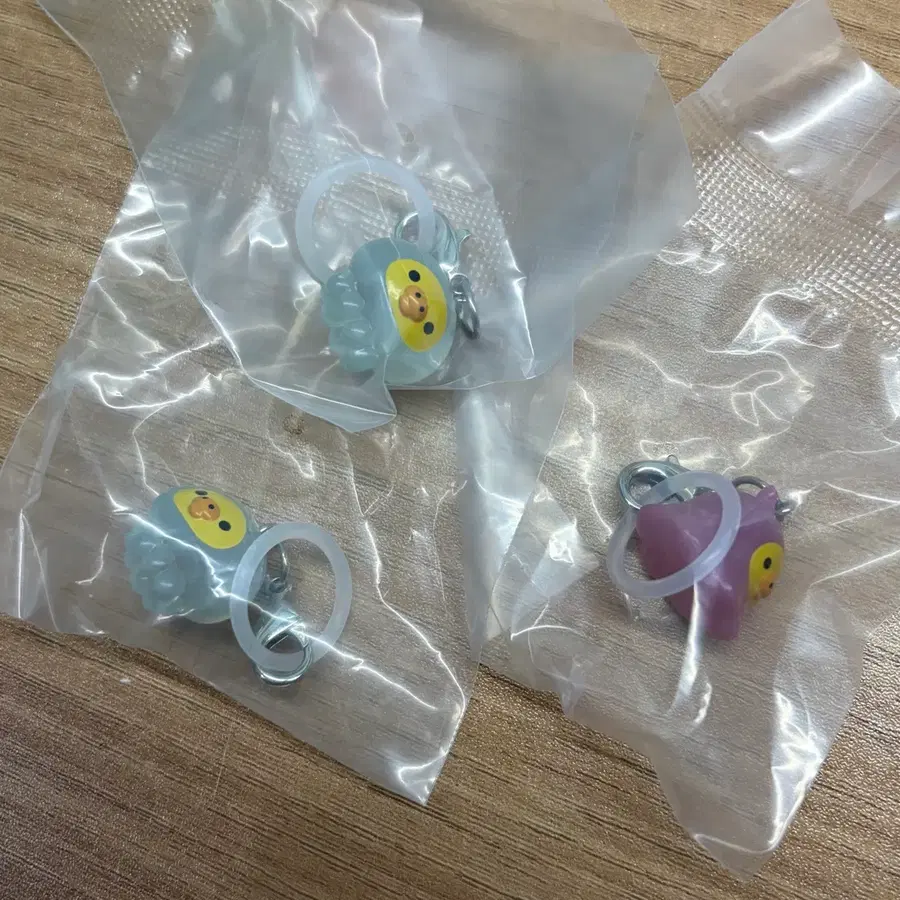 리락쿠마 해양생물 메지루시 키이로이토리 돼병