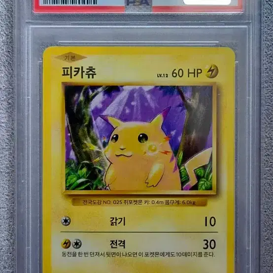 2016 20주년 피카츄 PSA10 (한글판)