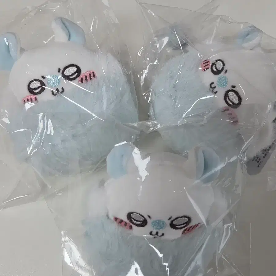 치이카와 꼬몽가