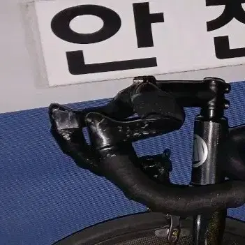 발루고 번치바 판매