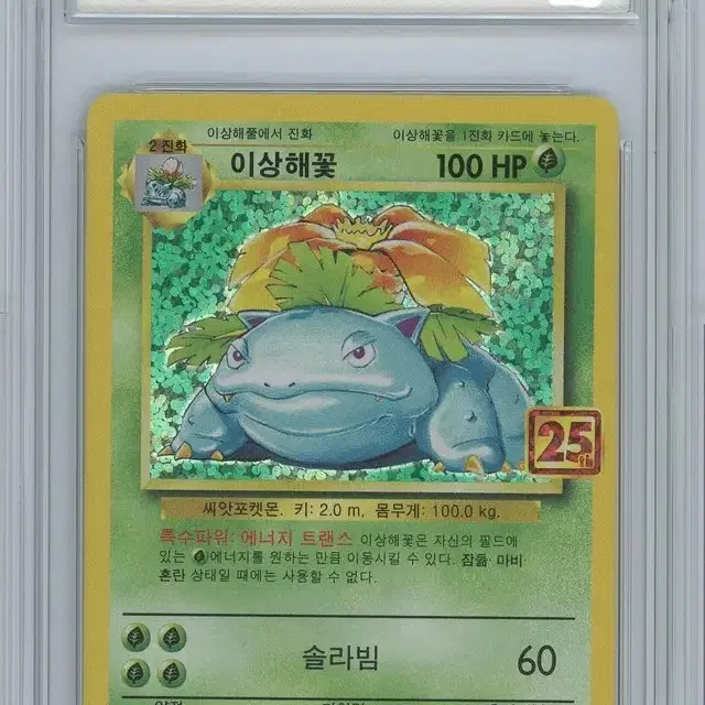 포켓몬카드 25주년 기념 프로모 이상해꽃 brg 9등급 사진 1
