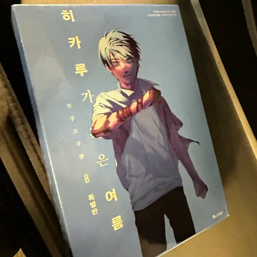 히카루가 죽은 여름 8권 특별판 히죽여 8권