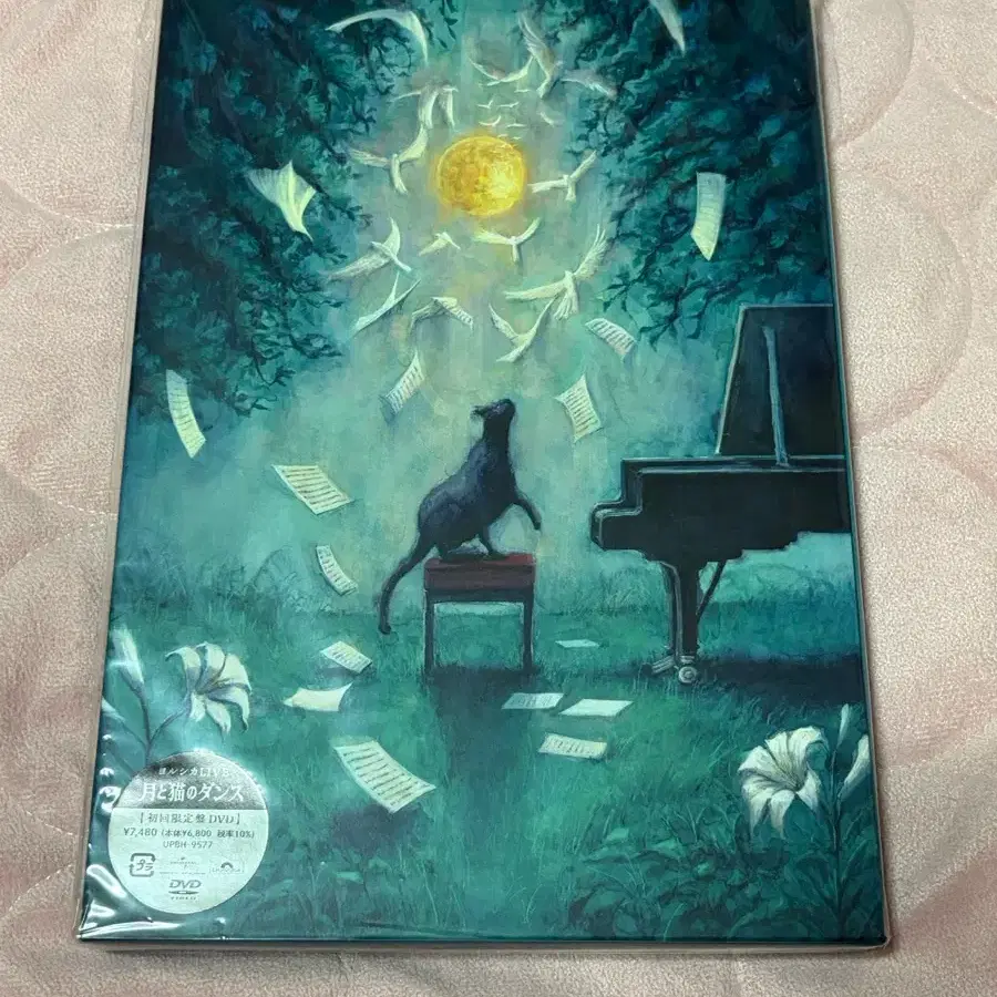 요루시카 라이브 달과 고양이의 댄스 DVD 초회한정반 미개봉