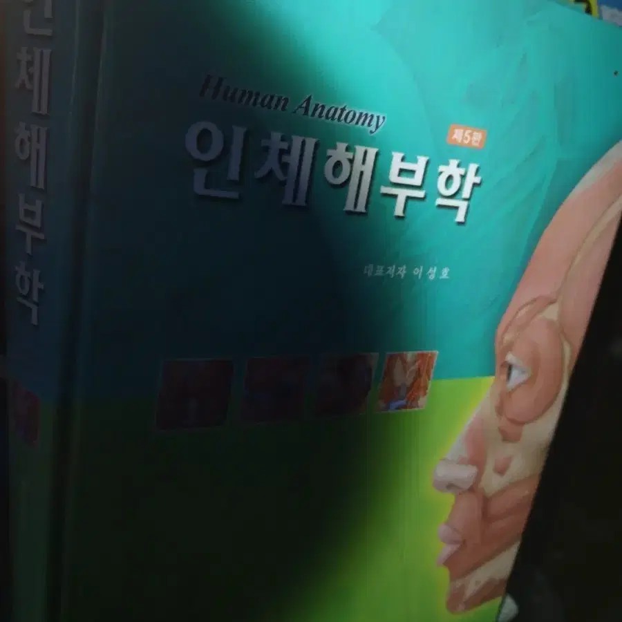 인체해부학 Human Anatomy 제5판