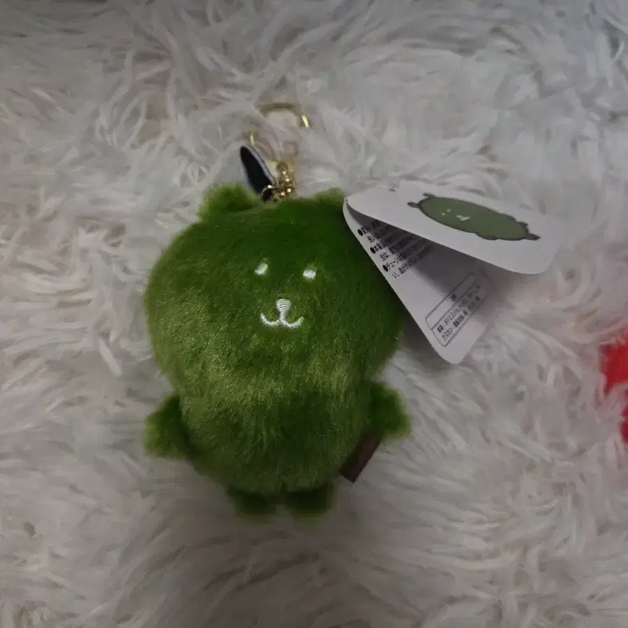 말차 농담곰 팔아요