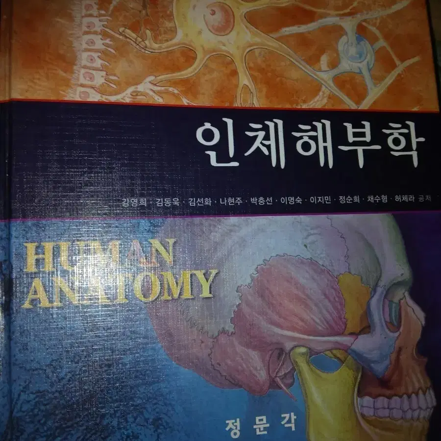 인체해부학 정문각