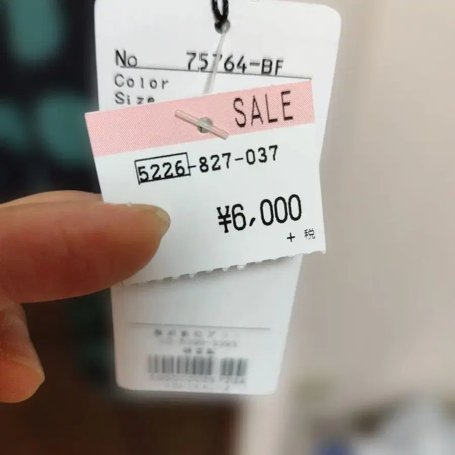 6번째 상품 이미지