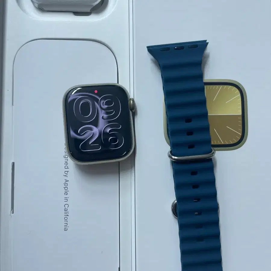 애플워치9스테인리스 41mm 골드  SS급