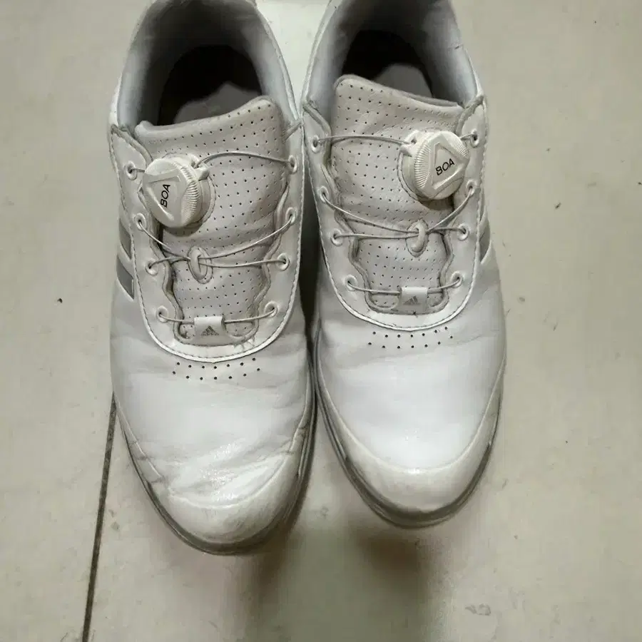[245] 아디다스 ADIDAS GOLF 골프화 화이트 BOA