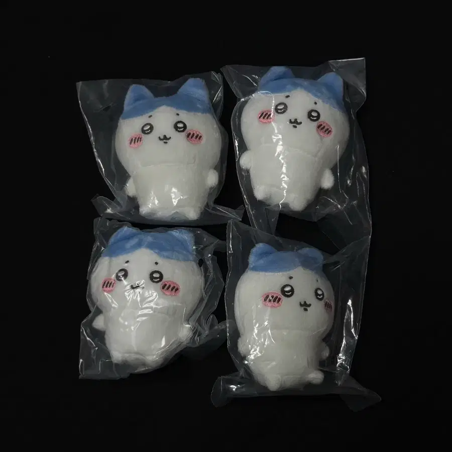 치이카와 앉은누이 하치와레