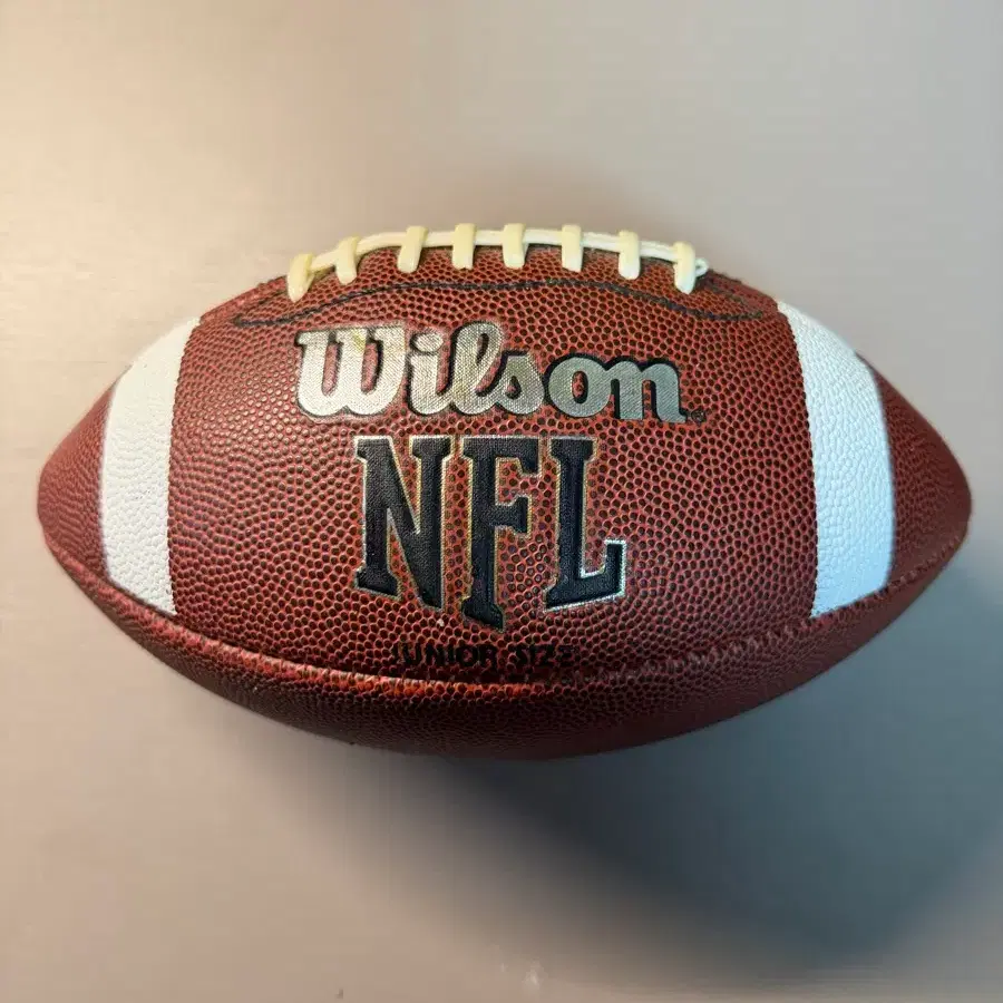 윌슨 nfl 럭비공