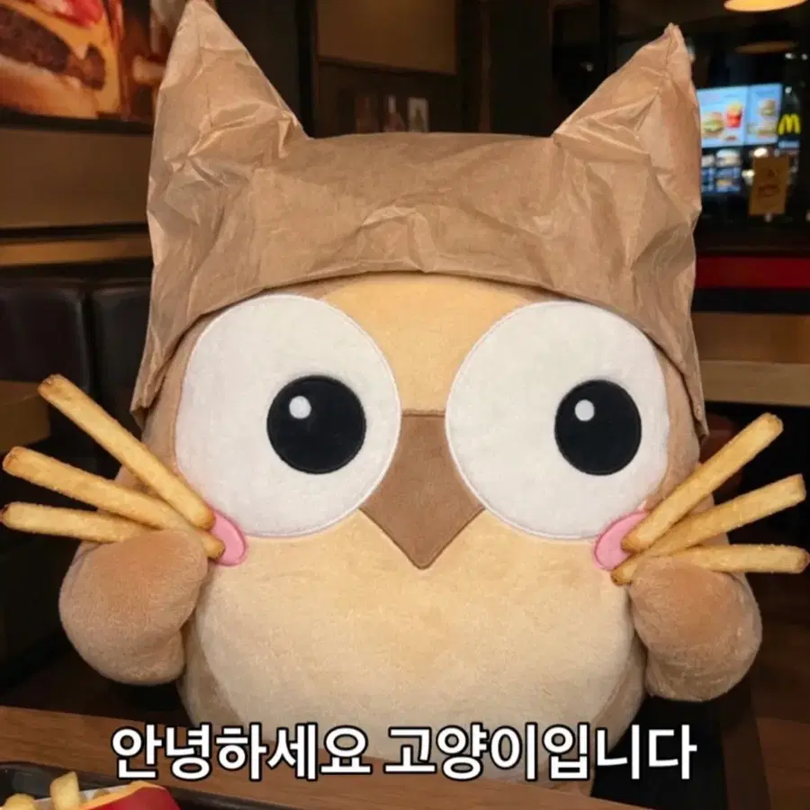 2027 시대인재 사문 재종컨