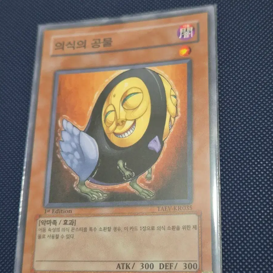 유희왕 의식의 공물 1st