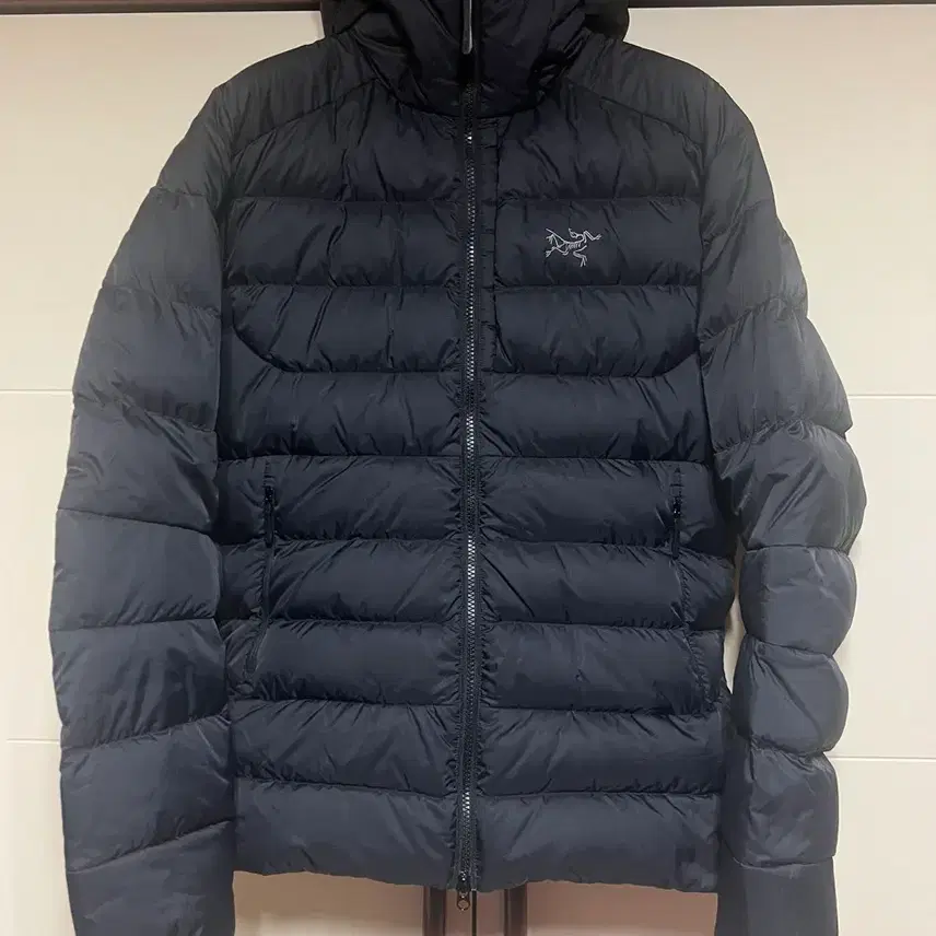 [状態最高]アークテリクス(Arc'teryx) トリウムフーディーブラック