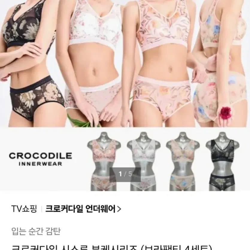 크로커다일 브라팬티 4세트