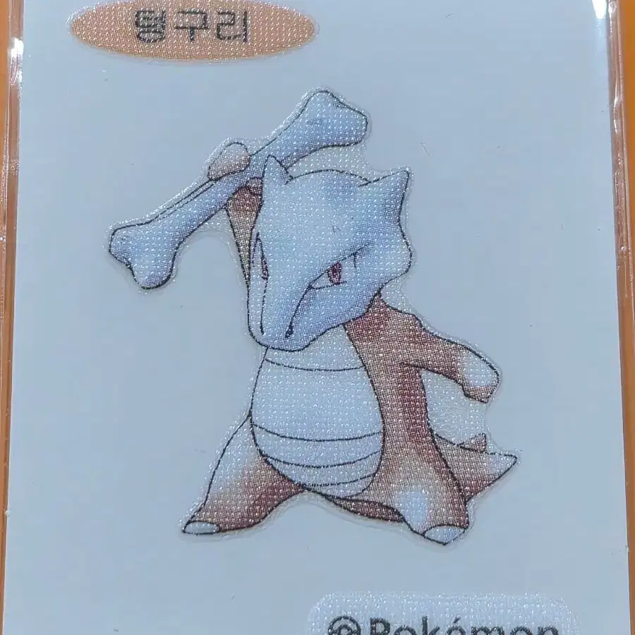 포켓몬띠부씰 아트워크_텅구리