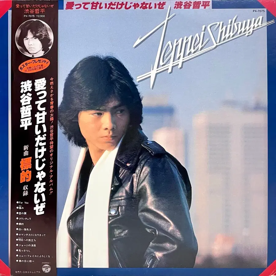 디스코 시부야 텟페이 Teppei Shibuya-사랑은 달콤할 뿐이 아니야 LP