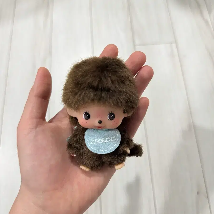베비치치 빅헤드 남아 몬치치