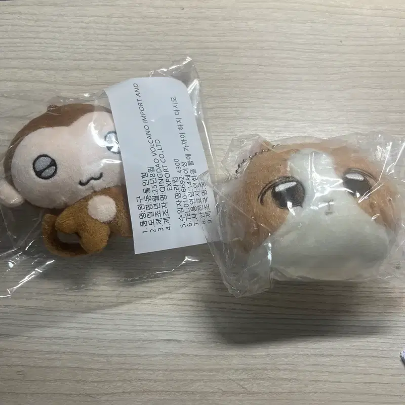 명숭이 머리만 있는 기니한 양도 보넥도 이한 보이넥스트도어