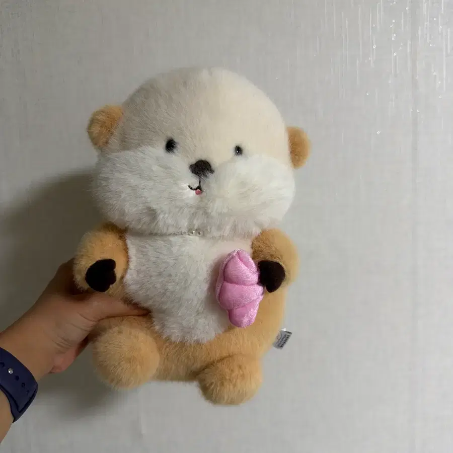 귀여운 곰돌이 / 햄스터 인형 판매