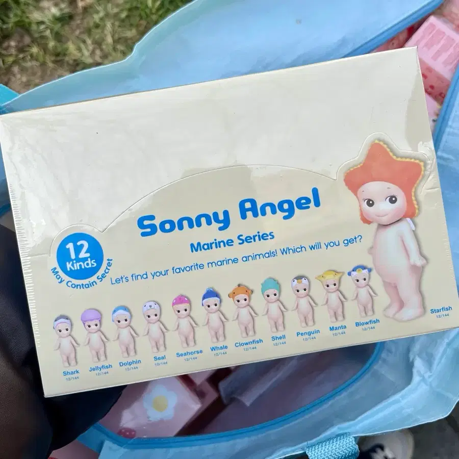 소니엔젤 마린 박스 (12개입)