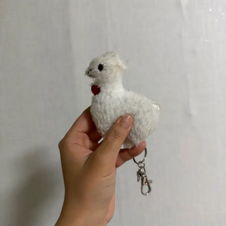 흰색 알파카 미니키링 판매