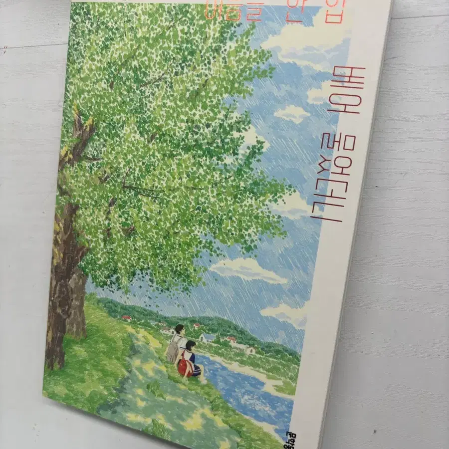 여름을 한입 베어 물었더니 책